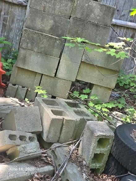 Photo of free Around 15 Cinder blocks (Franklin Massachusetts) #1