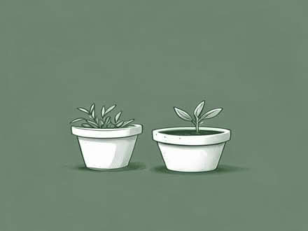 Photo of free medium and small garden pots (South Darenth DA4) #1