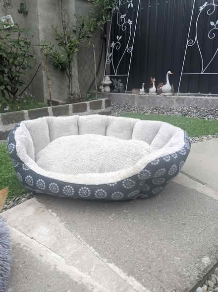 Photo of free Dog bed (Dublin 8) #1