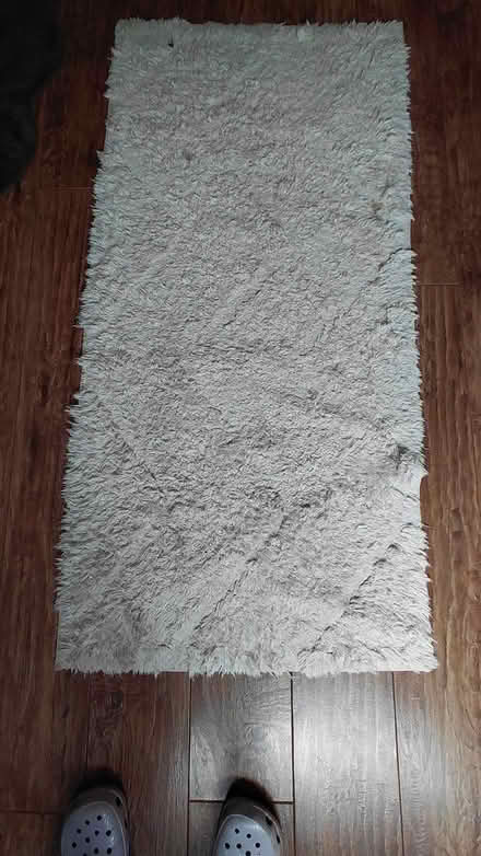 Photo of free Rug (Sheffield S12) #4