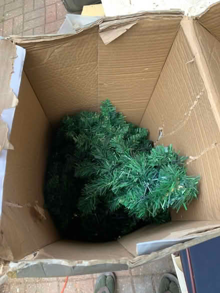 Photo of free Christmas Tree (Southall UB1) #4