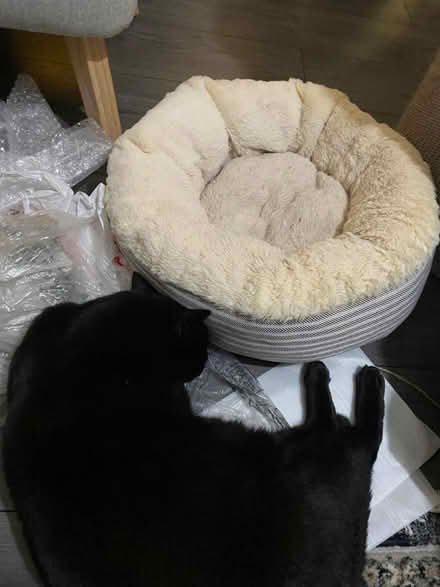 Photo of free Cat bed (En2) #2