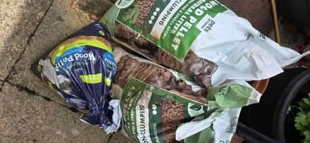 Photo of free Cat Litter (Wood Green N22) #1