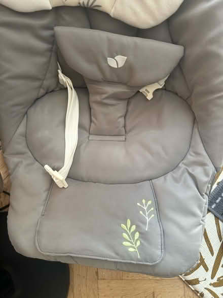 Photo of free Joie Fern Baby Bouncer (SM6 0td) #3