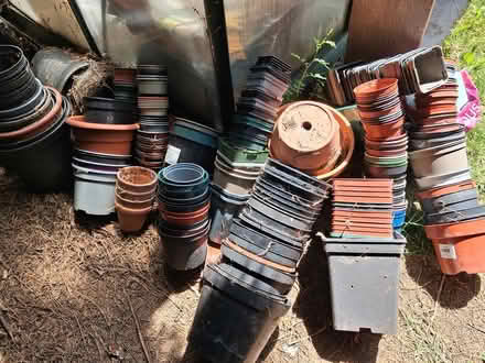 Photo of free Flower pots (Ledbury, HR8) #1