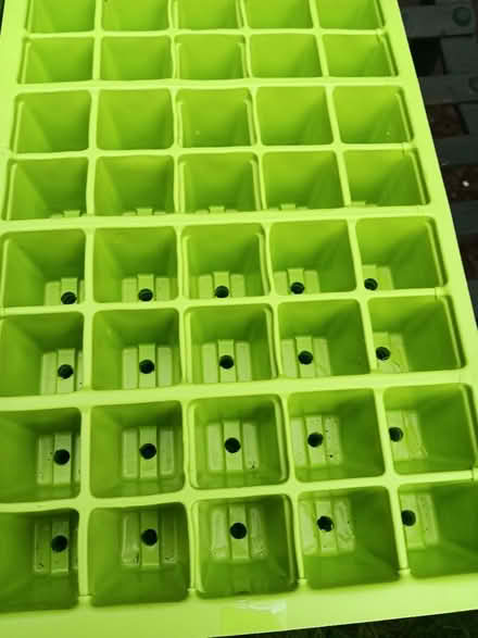 Photo of free Seed trays (Rathmines/Ranelagh) #3