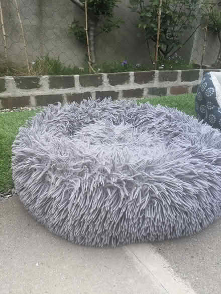 Photo of free Dog bed #2 (Dublin 8) #1