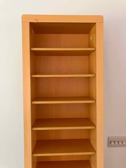 Photo of free CD Storage Shelving Unit (Forest Hill SE23) #2