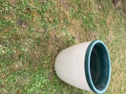 Photo of free Large plant pots (Banstead, near High Street) #1