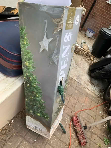 Photo of free Christmas Tree (Southall UB1) #2
