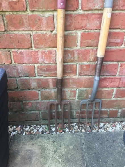 Photo of free Pair of garden forks (Finedon NN9) #1