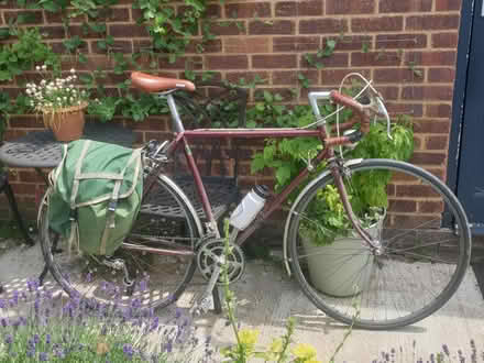 Photo of free Claud Butler Mens Bike (unridable) (Frimley Green (GU16)) #1