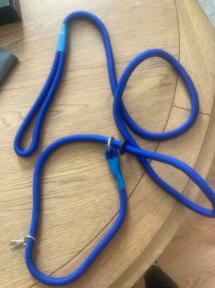 Photo of free Blue dog slip lead (Purley) #1
