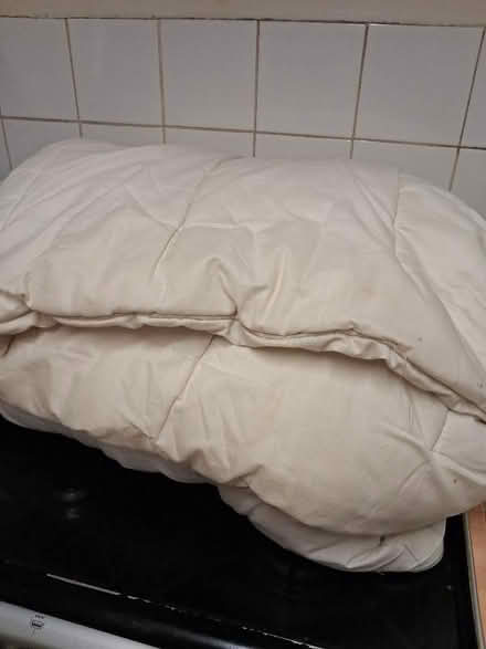 Photo of free Double quilt (Soho WC2H) #1