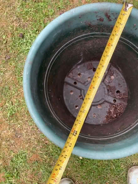 Photo of free Large plant pots (Banstead, near High Street) #4