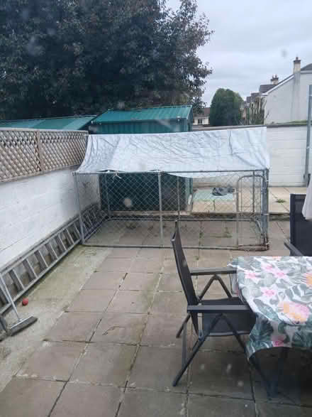Photo of free Dog cage (Lucan) #1
