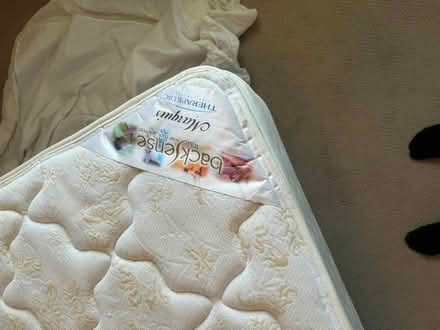 Photo of free Double mattress with box spring (Yorkson area of Langley) #2