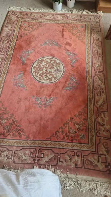 Photo of free Large chinese rug (Winchester) #1