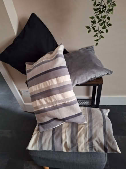 Photo of free Black/white/grey cushions (Hampden Park BN22) #1