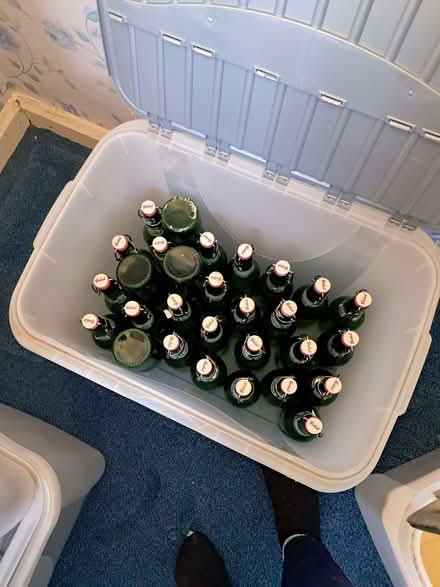 Photo of free Brown beer bottles for home brewing and green bottles (Wirksworth DE4) #2