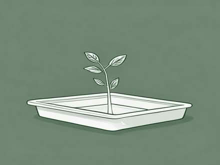 Photo of free Plastic Seed Trays (Peachcroft OX14) #1