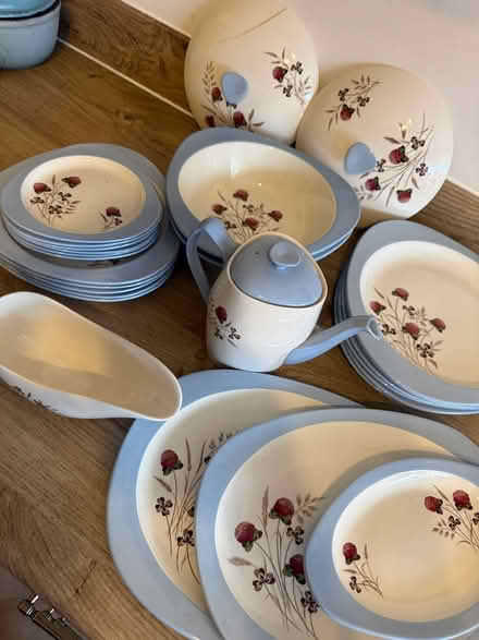 Photo of free Spode crockery (Willingdon) #2