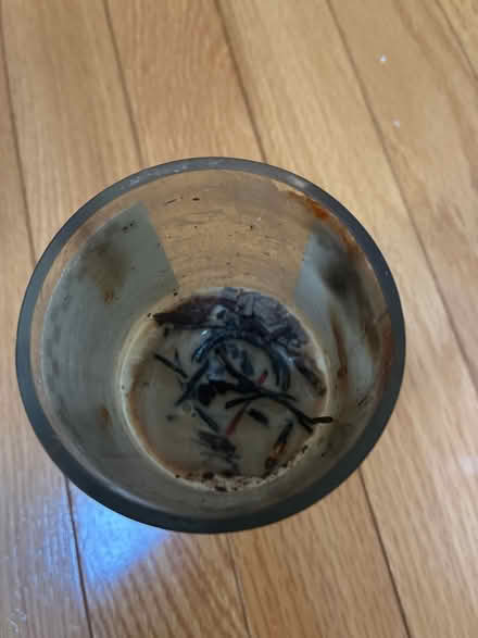 Photo of free Locally made candle & a Mug (Near Friendship Heights metro) #2