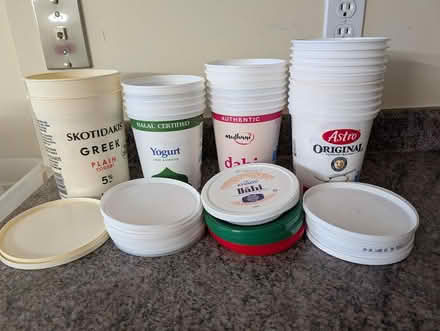Photo of free Yogurt Containers (Streetsville) #1