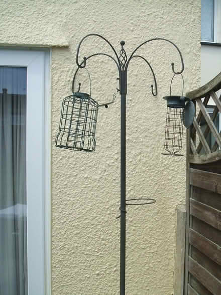 Photo of free Bird feeding station (Molesey KT8) #1