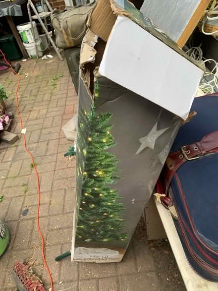 Photo of free Christmas Tree (Southall UB1) #3