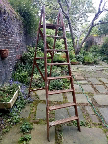 Photo of free Gravity Randall Step Ladder (Highbury N5) #2