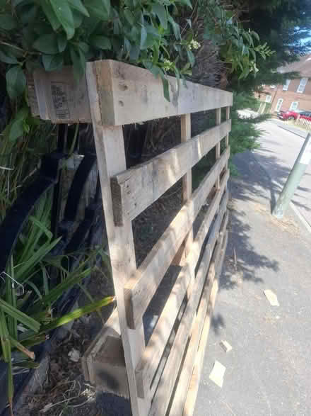Photo of free Large pallet 2meters by 1.2m (Se9 4ae) #3