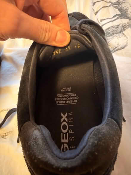Photo of free Men’s Blue Geox size 42 shoes (Craigleith EH4) #2