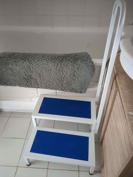 Photo of free Brand new bath steps (Gospel Oak NW5) #1