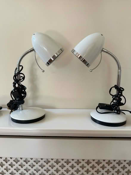 Photo of free Small lamps (Shaldon TQ14) #1