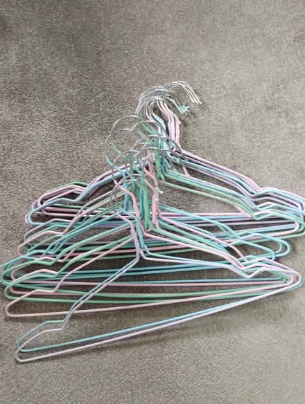 Photo of free Clothes hangers (Teversham CP (S Cambs) CB1) #1