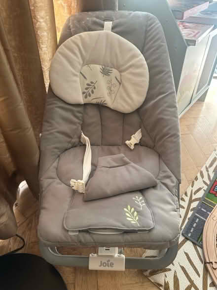 Photo of free Joie Fern Baby Bouncer (SM6 0td) #1
