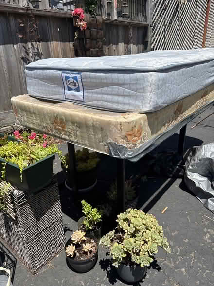 Photo of free Twin bed (Soquel Drive) #1