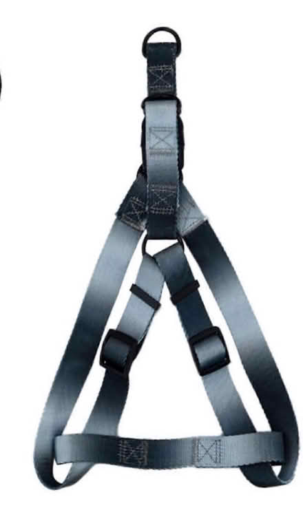 Photo of Doggy chest Harness (Kerry) #1