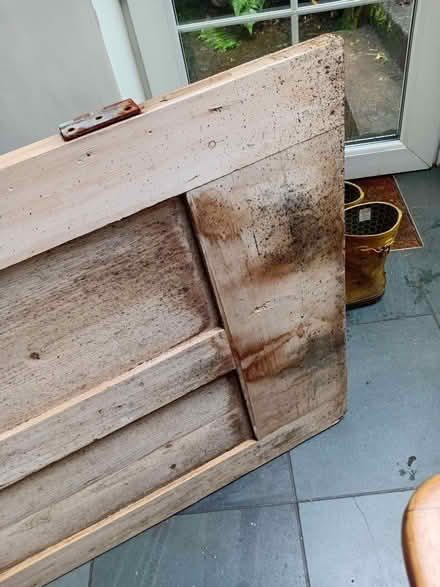 Photo of free Internal Pine Door (Kendal LA9) #2