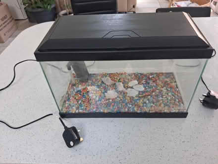 Photo of free Small fish tank (Ash Green, GU12) #1