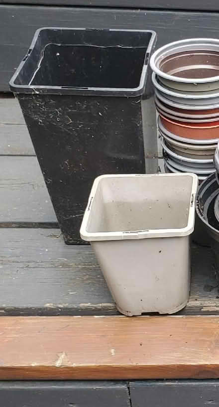 Photo of free Various plastic plant pots and seed trays. (Tye Green Village CM18) #2