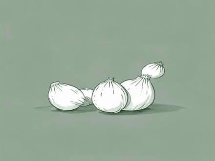 Photo of free White camassia bulbs. Loads of them (Kendal LA9) #1