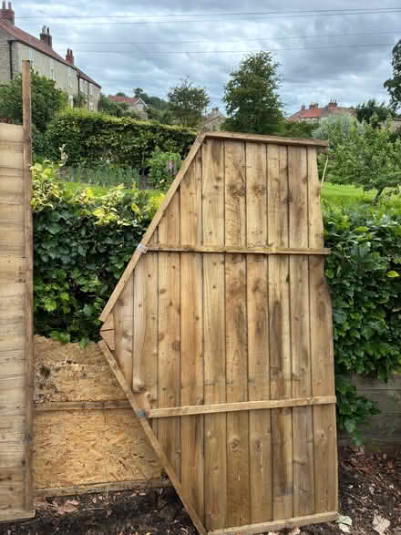 Photo of free Shed door and part panels (Cawton YO62) #3