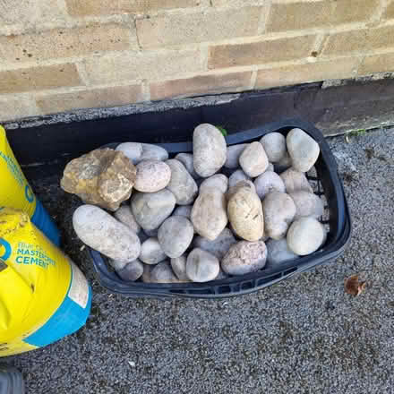 Photo of free Mixed sized pebbles (Dorking RH4) #1