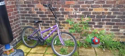Photo of free 24" Bike (Dallam, WA5) #1