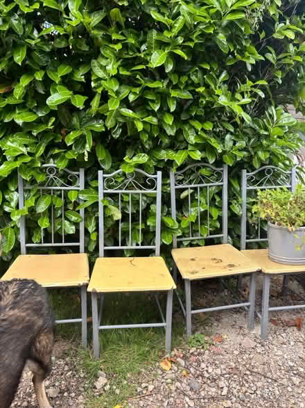 Photo of free 4 metal chairs and table (Cranleigh) #3