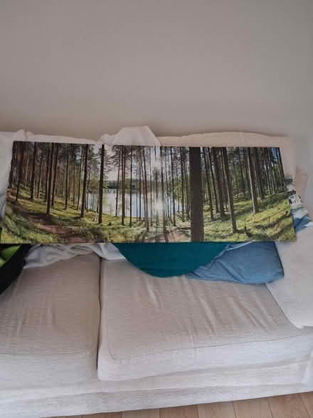 Photo of free Wide wall print (weedon) #1