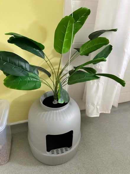 Photo of free Cat litter box pot plant (LU5 5HX) #1