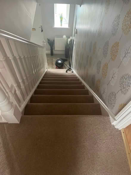 Photo of free Stairway carpet (Sn126qs) #1
